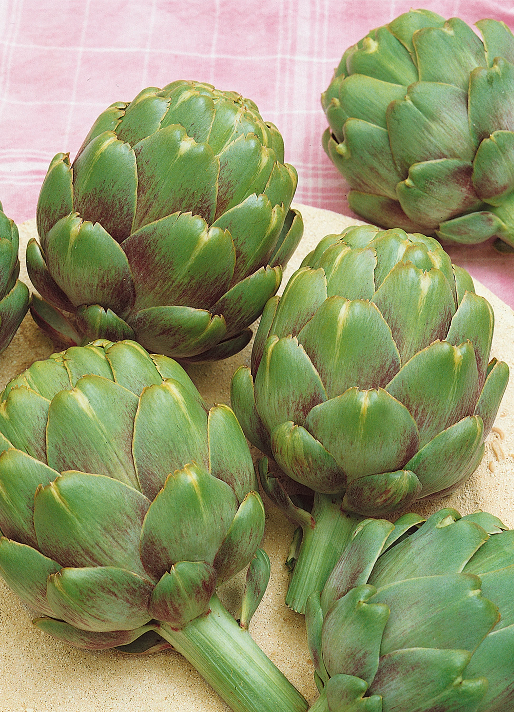 Artichoke | Globe