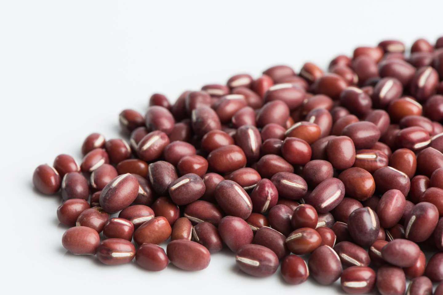Adzuki beans Sprouting Seeds