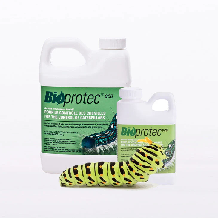 BioProtec - BTK