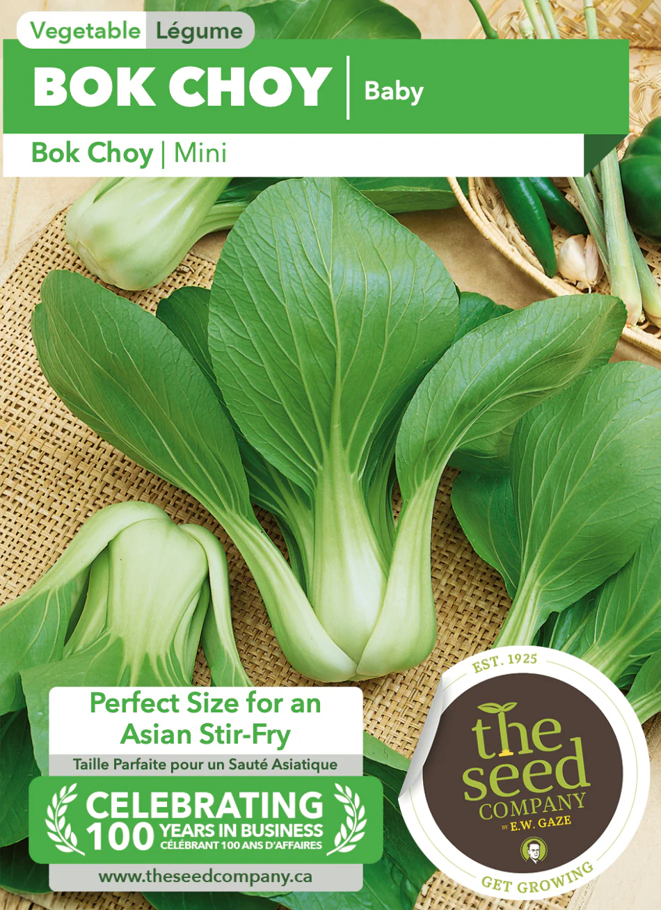 Bok Choy | Baby - Image 2