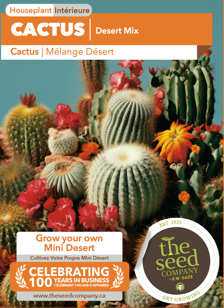 Cactus | Desert Mix - Image 2