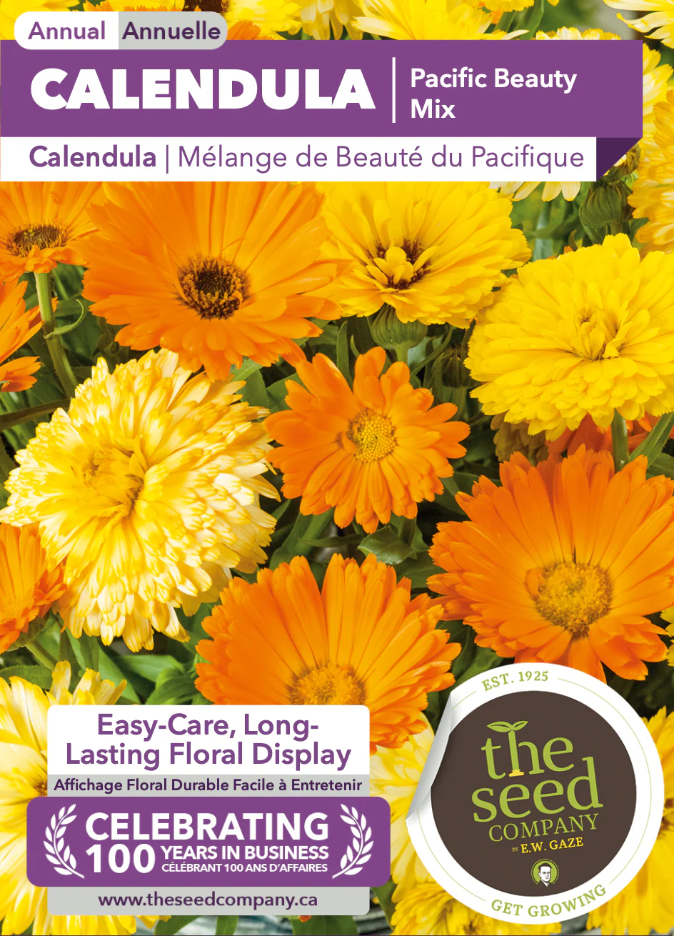 Calendula | Pacific Beauty Mix - Image 2
