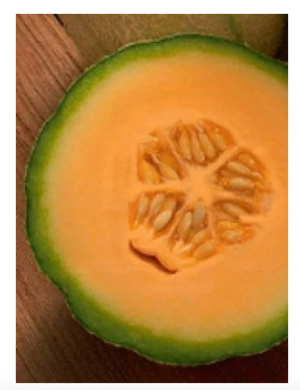 Cantaloupe | Heart of Gold ORGANIC - Image 2