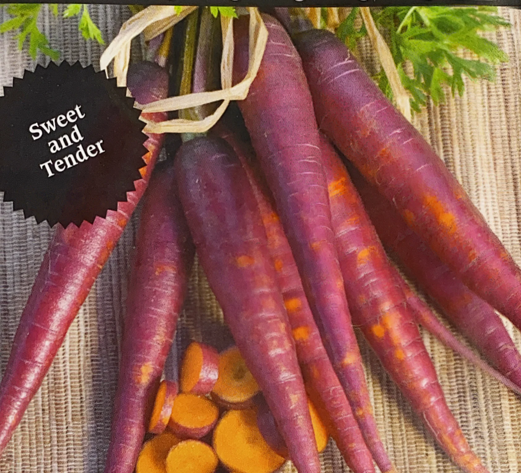 Carrot | Purple Gaze - Image 2