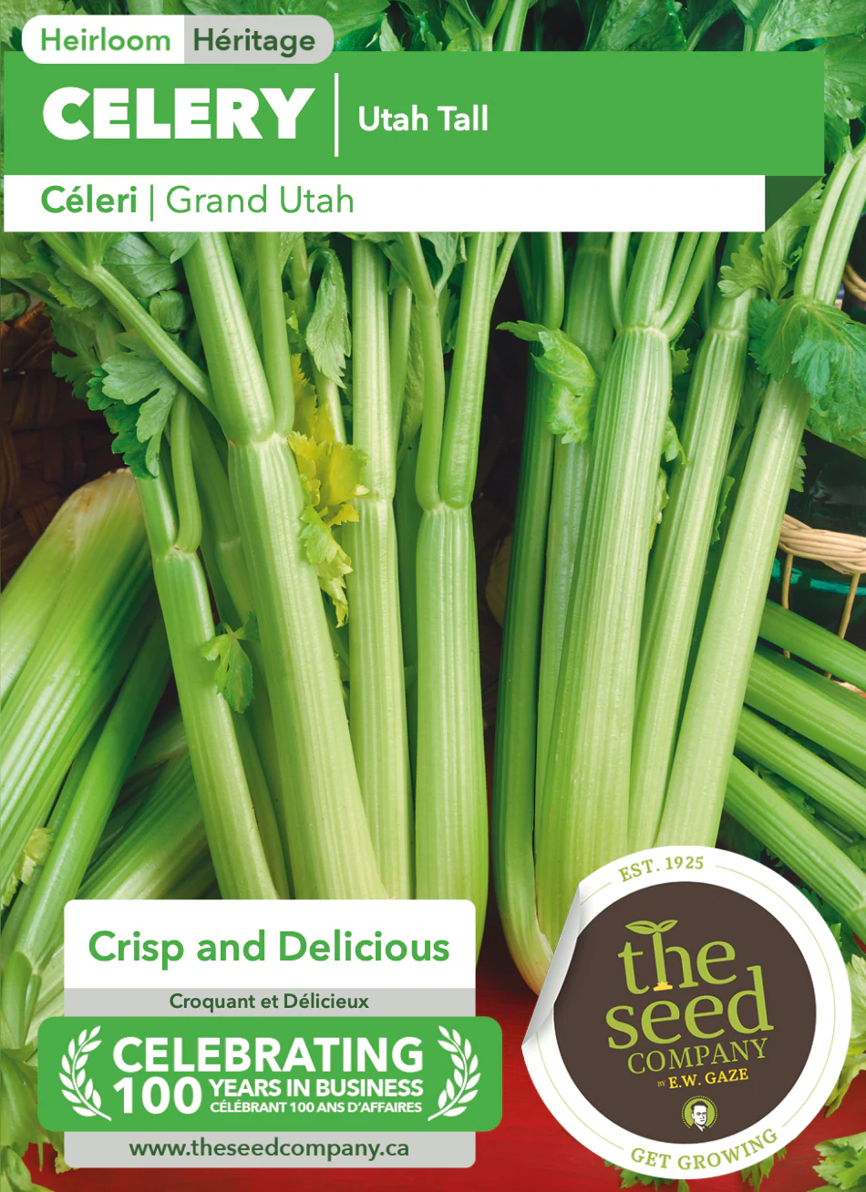 Celery | Utah Tall - Image 2