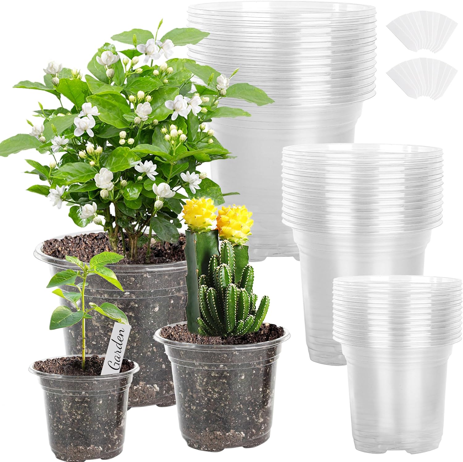 Clear Plastic Pot 5"