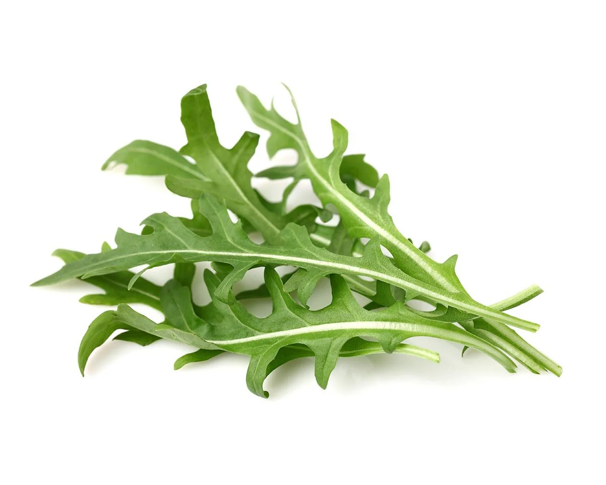 Click & Grow Refill 3-Pack - Leaf Mustard - Image 2