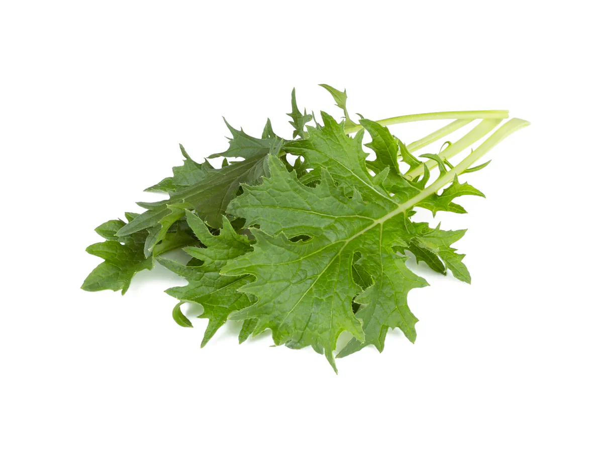 Click & Grow Refill 3-Pack - Mizuna