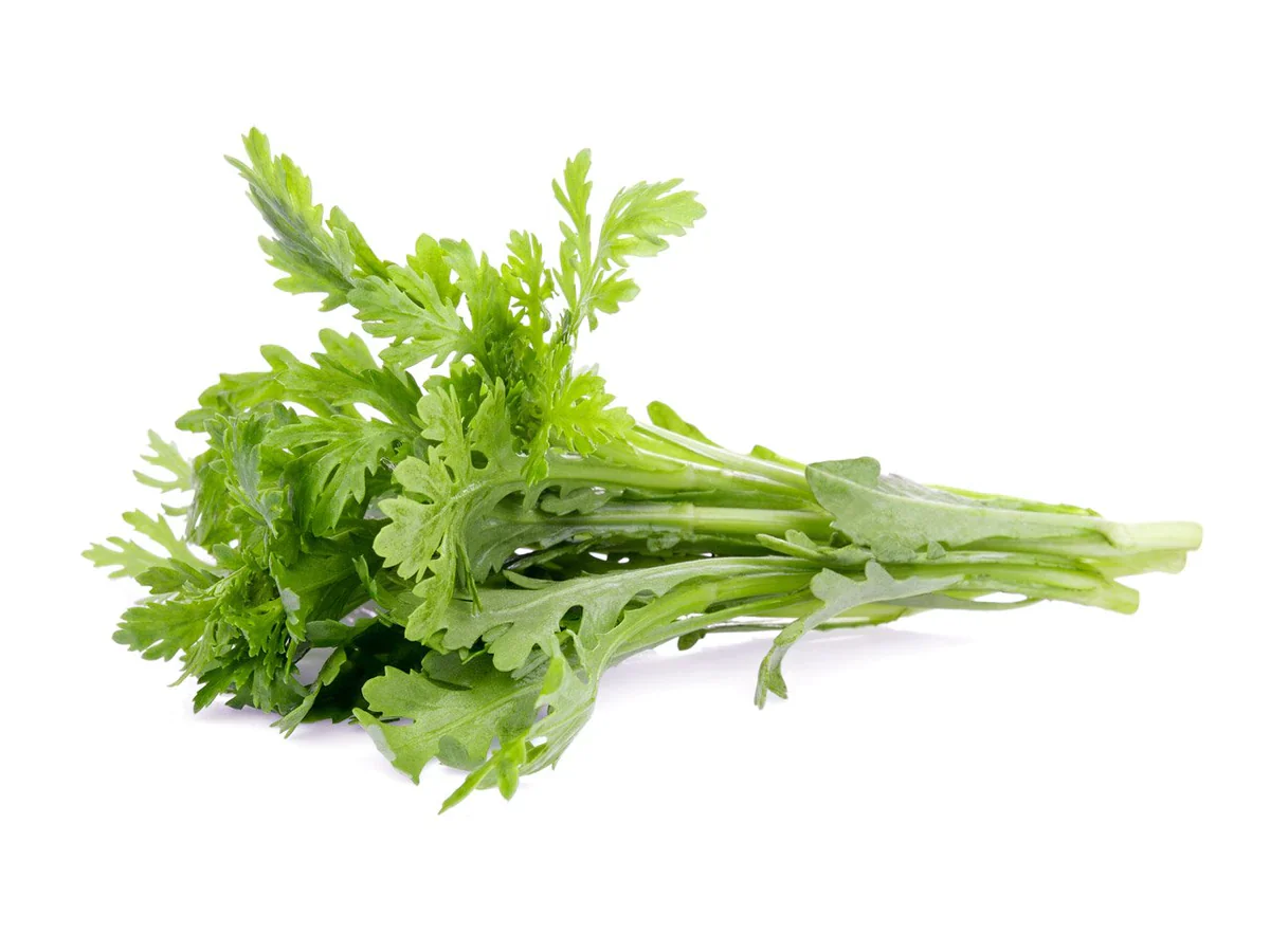 Click & Grow Refill 3-Pack - Shungiku