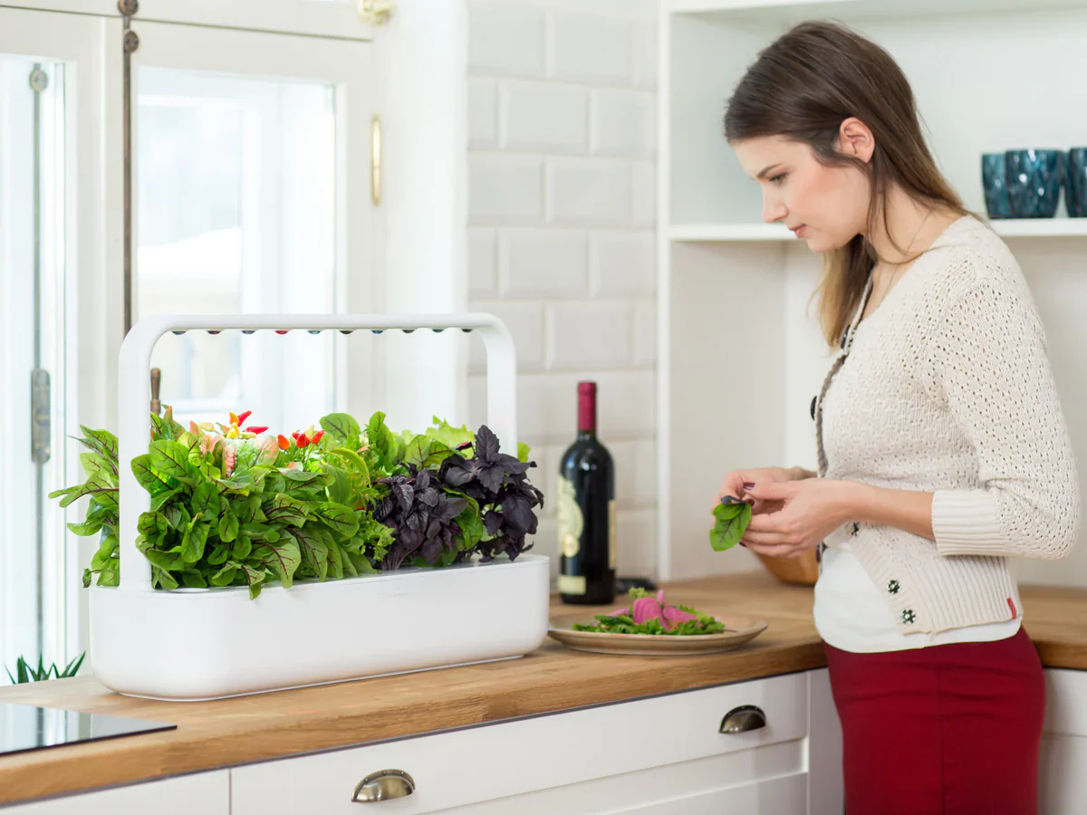 Click & Grow Smart Garden 9 - Image 4