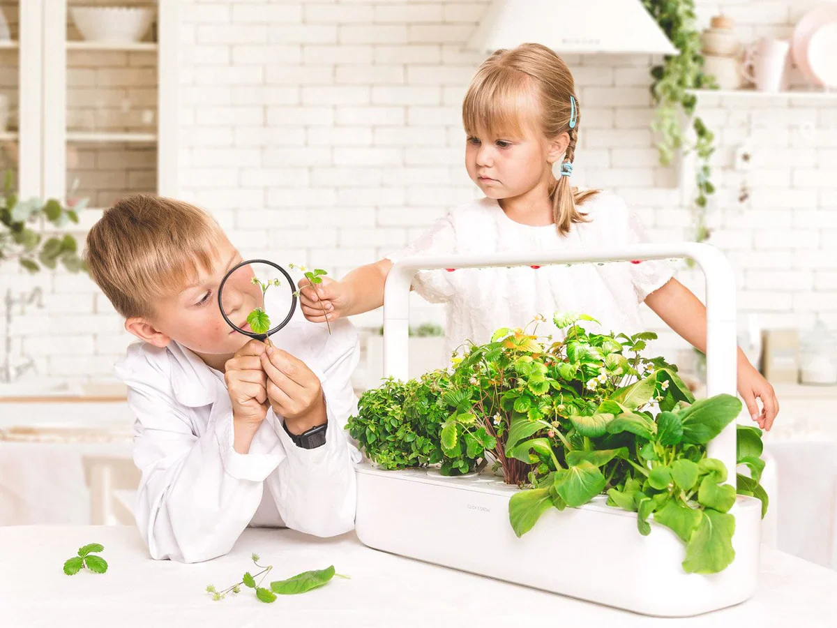 Click & Grow Smart Garden 9 - Image 7