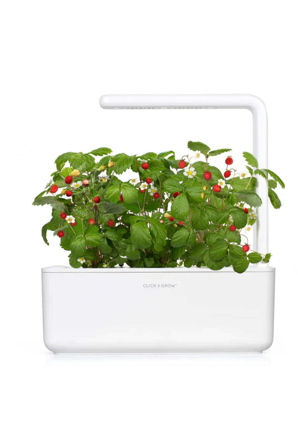 Click and Grow Starting kit
