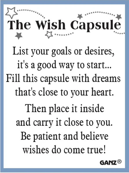 Good Luck Charm - The Wish Capsule - Image 4