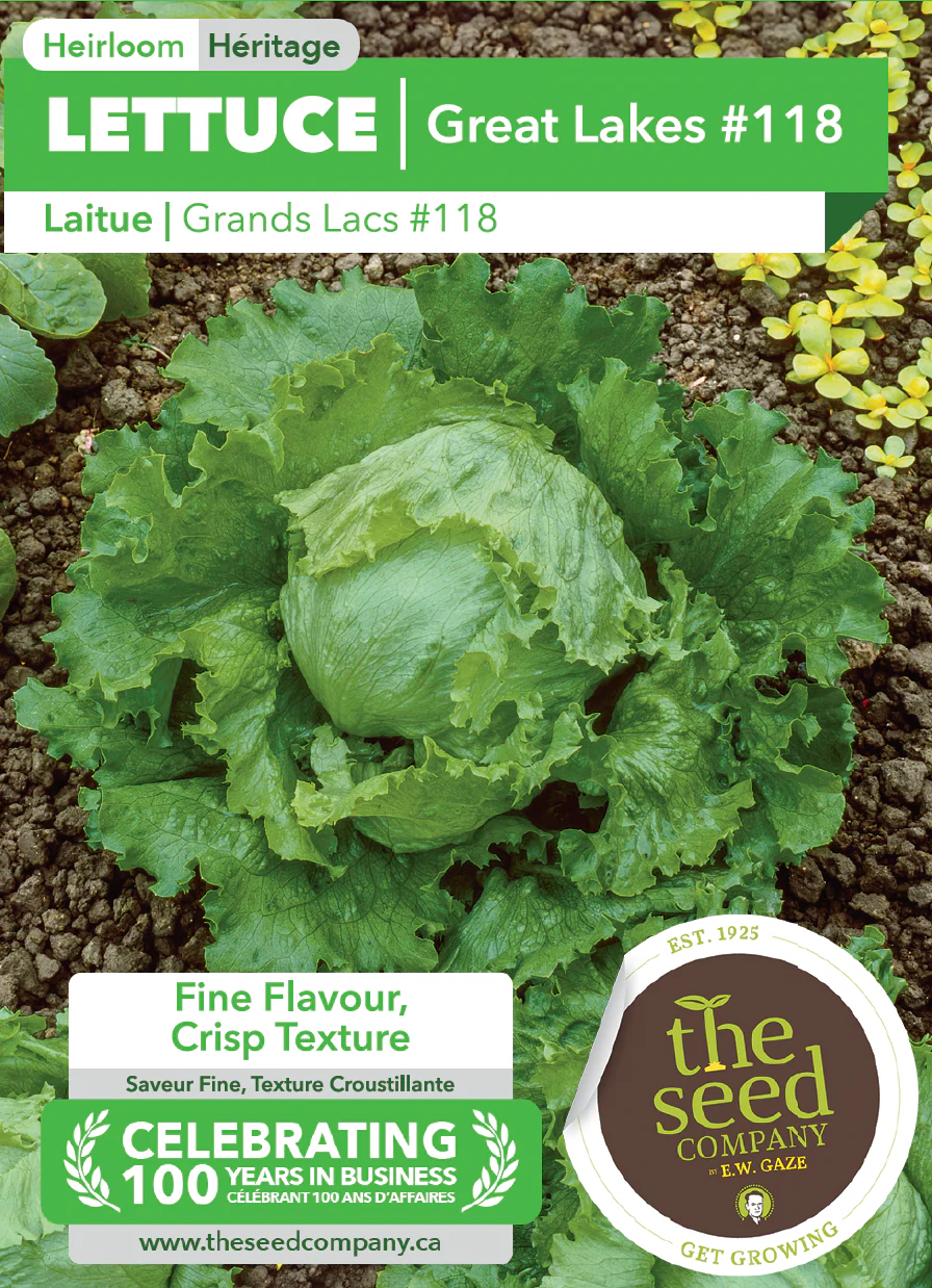 Lettuce | Great Lakes #118 - Image 2