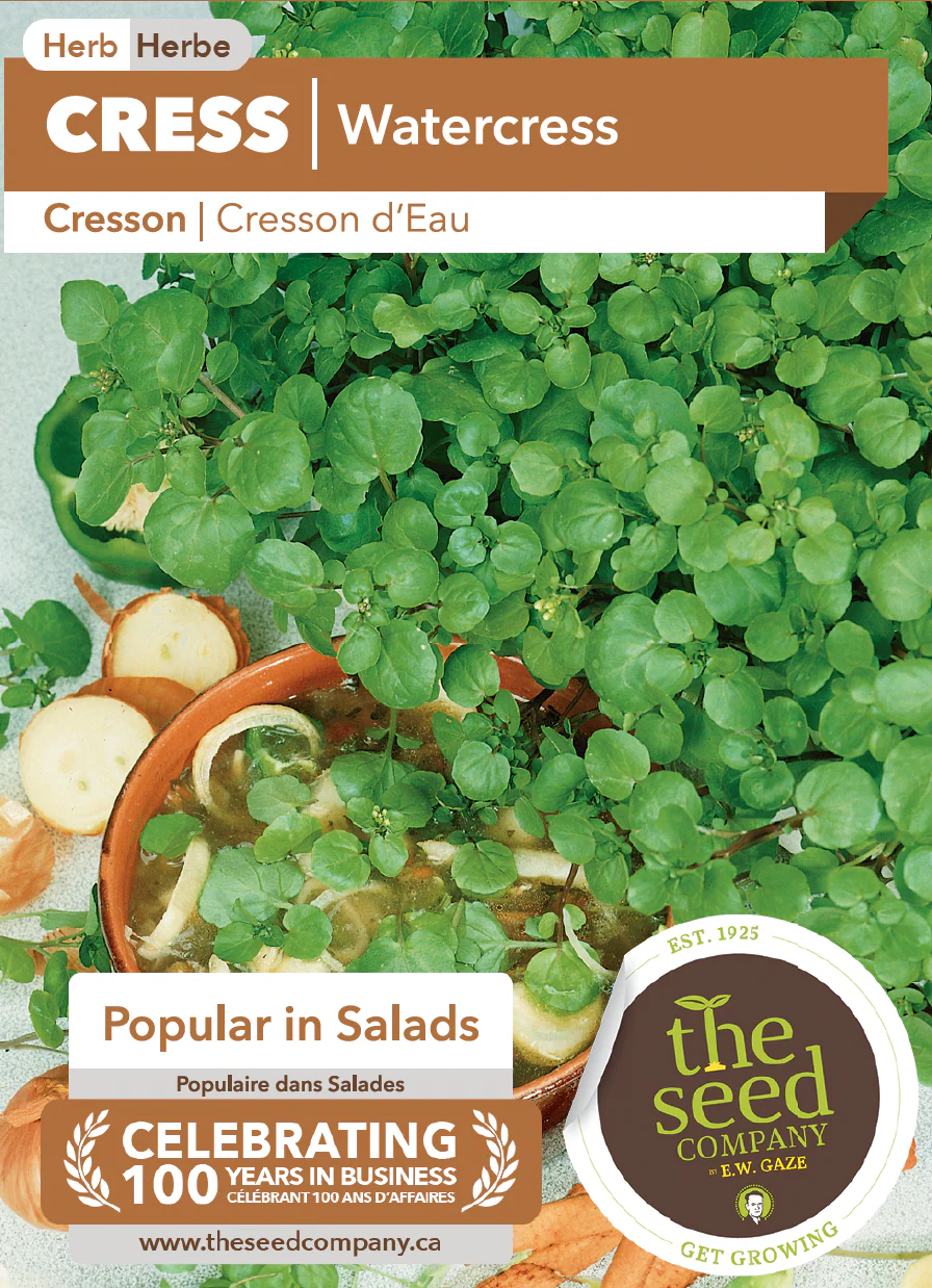Cress | Watercress - Image 2