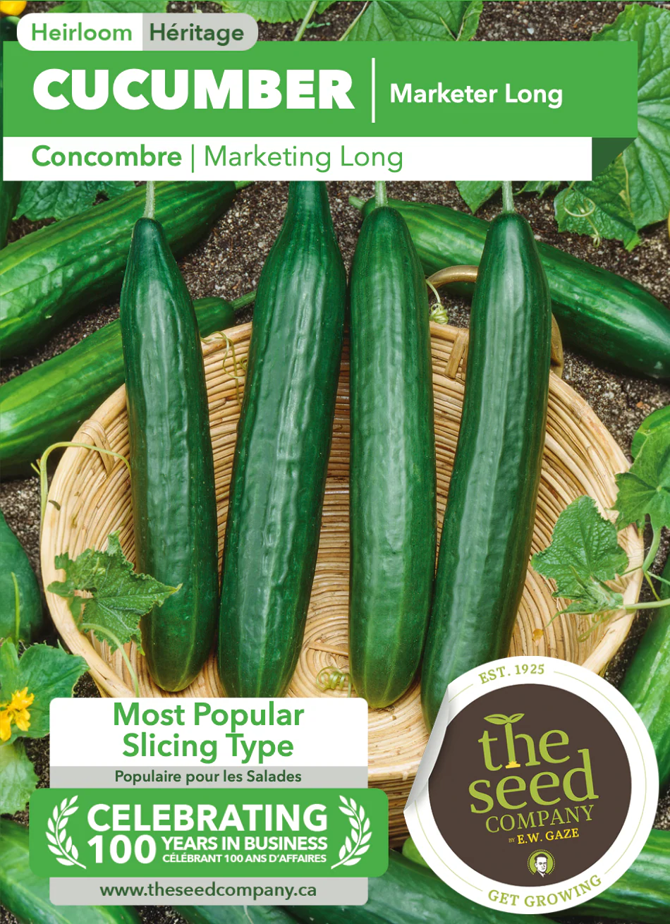 Cucumber | Marketer Long - Image 2