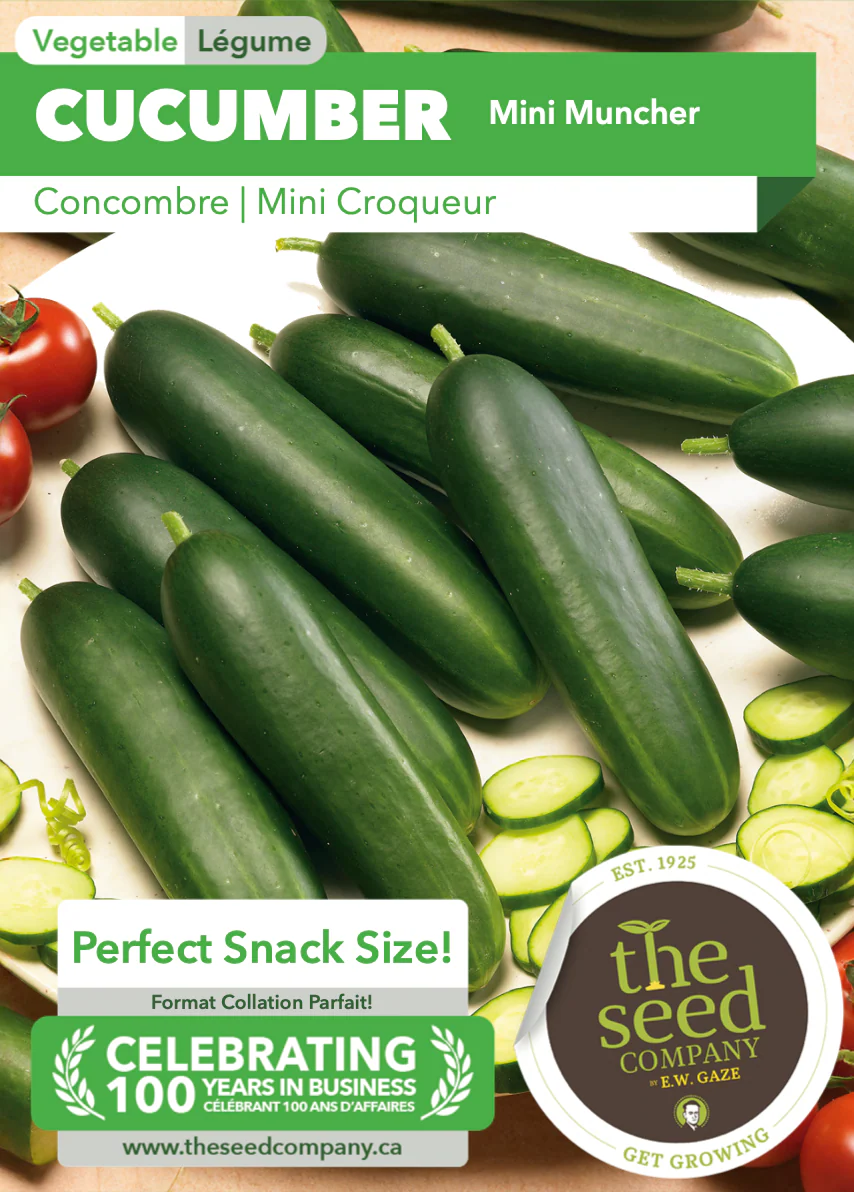 Cucumber | Mini Muncher - Image 2