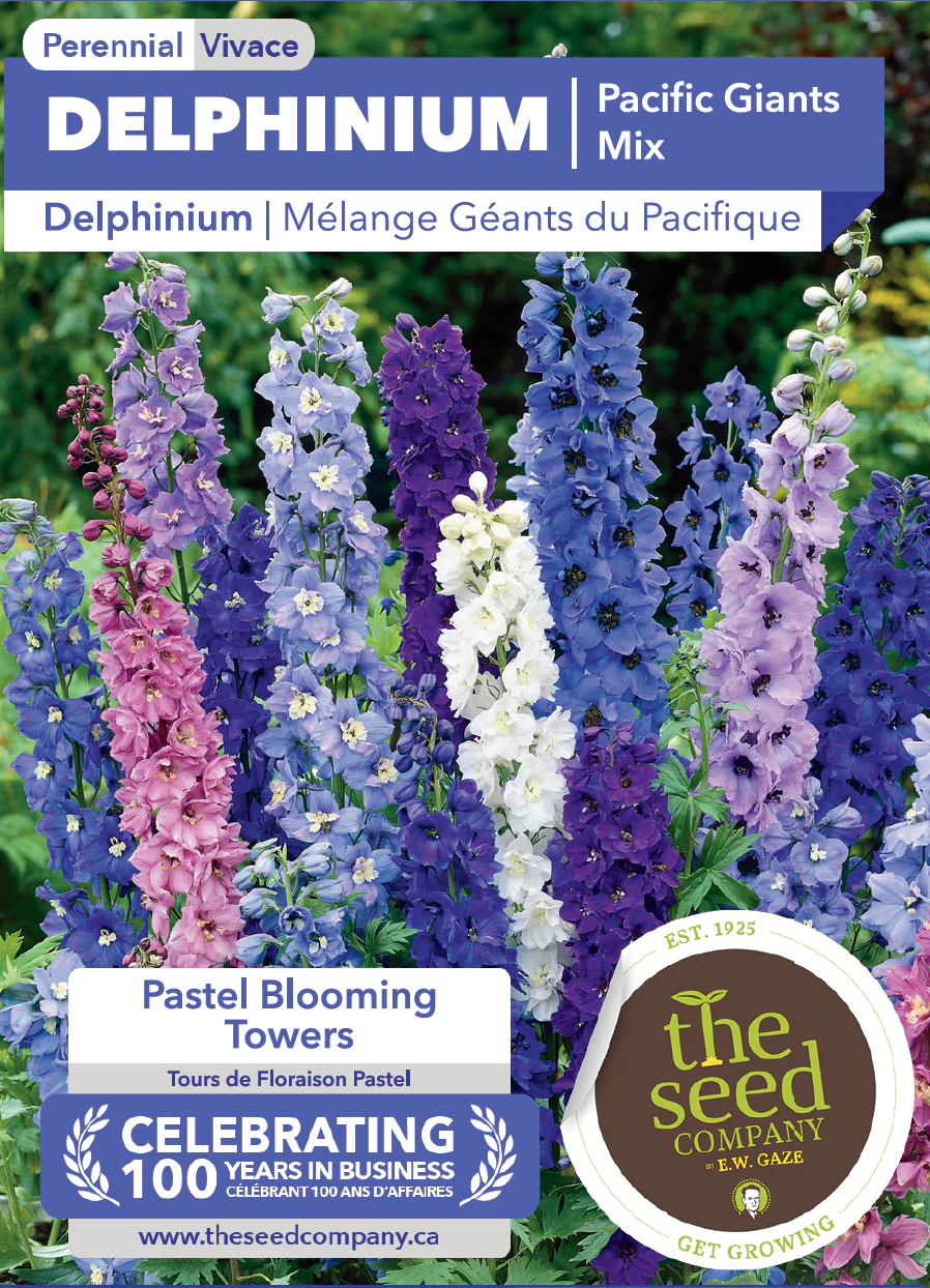 Delphinium | Pacific Giants Mix - Image 2