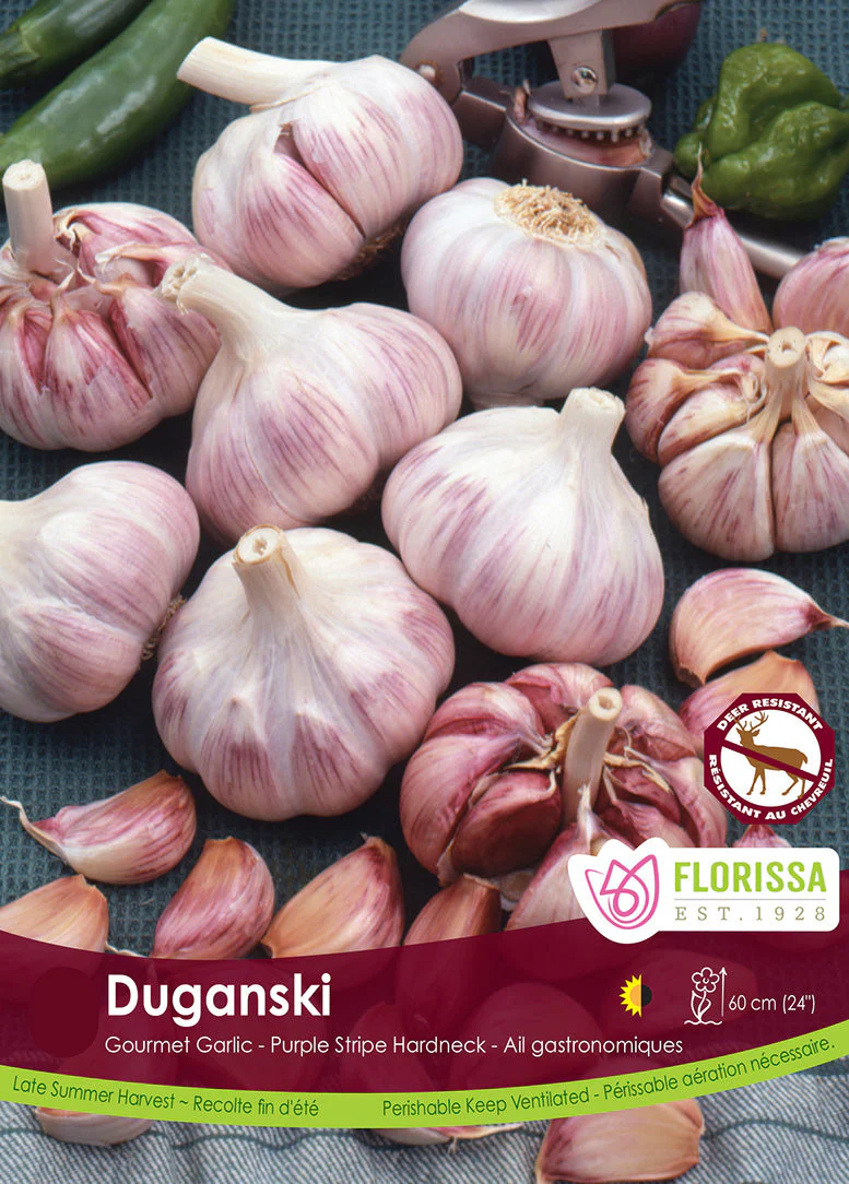 PRE-ORDER Fall Garlic | Duganski
