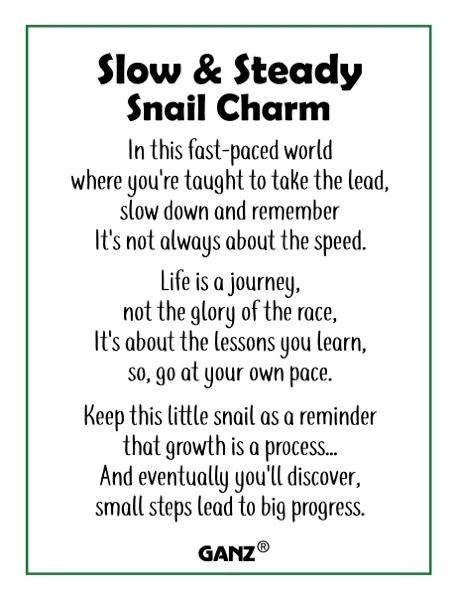 Good Luck Charm - Slow and Steady Snail - Image 3