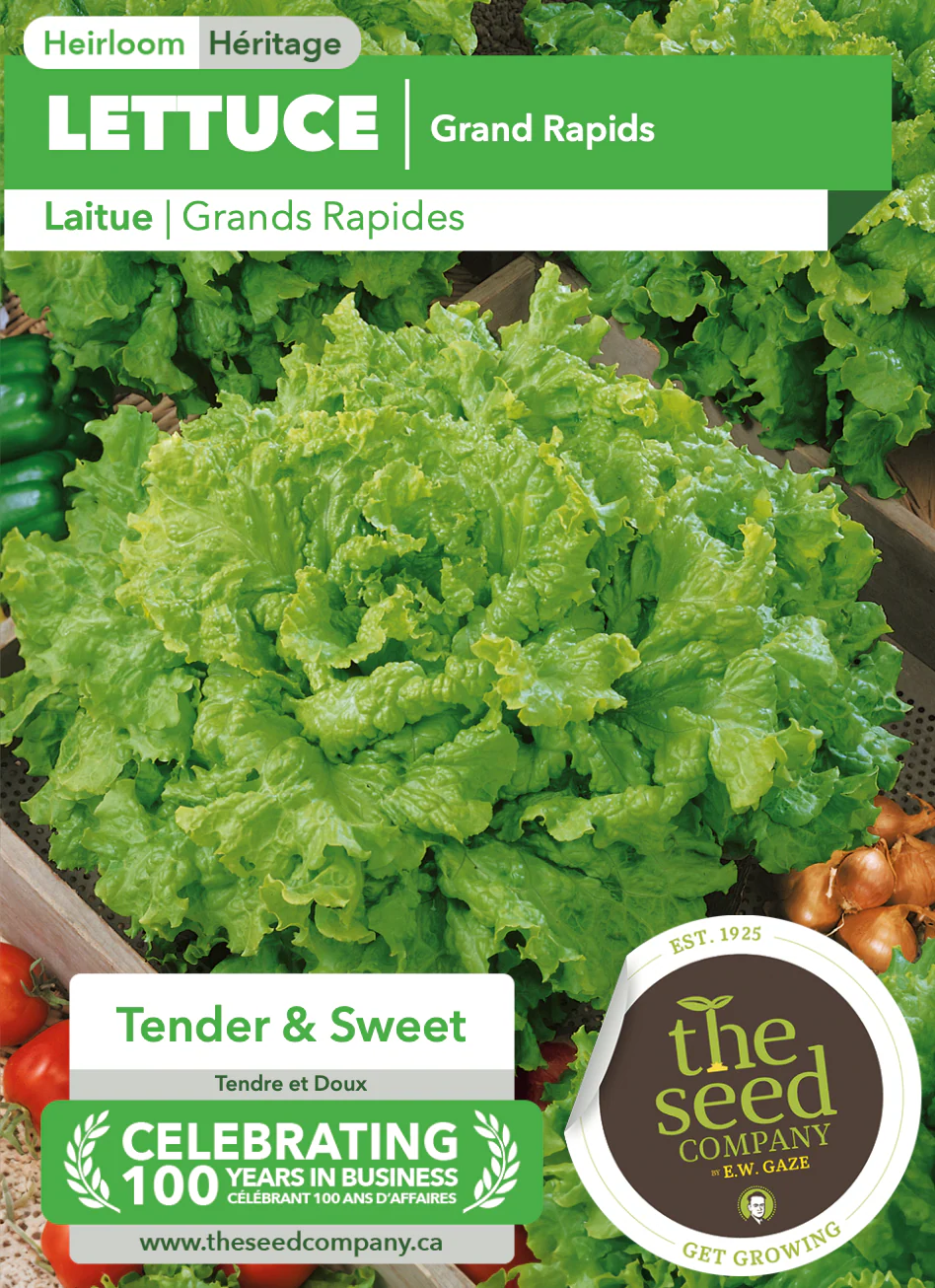 Lettuce | Grand Rapids - Image 2