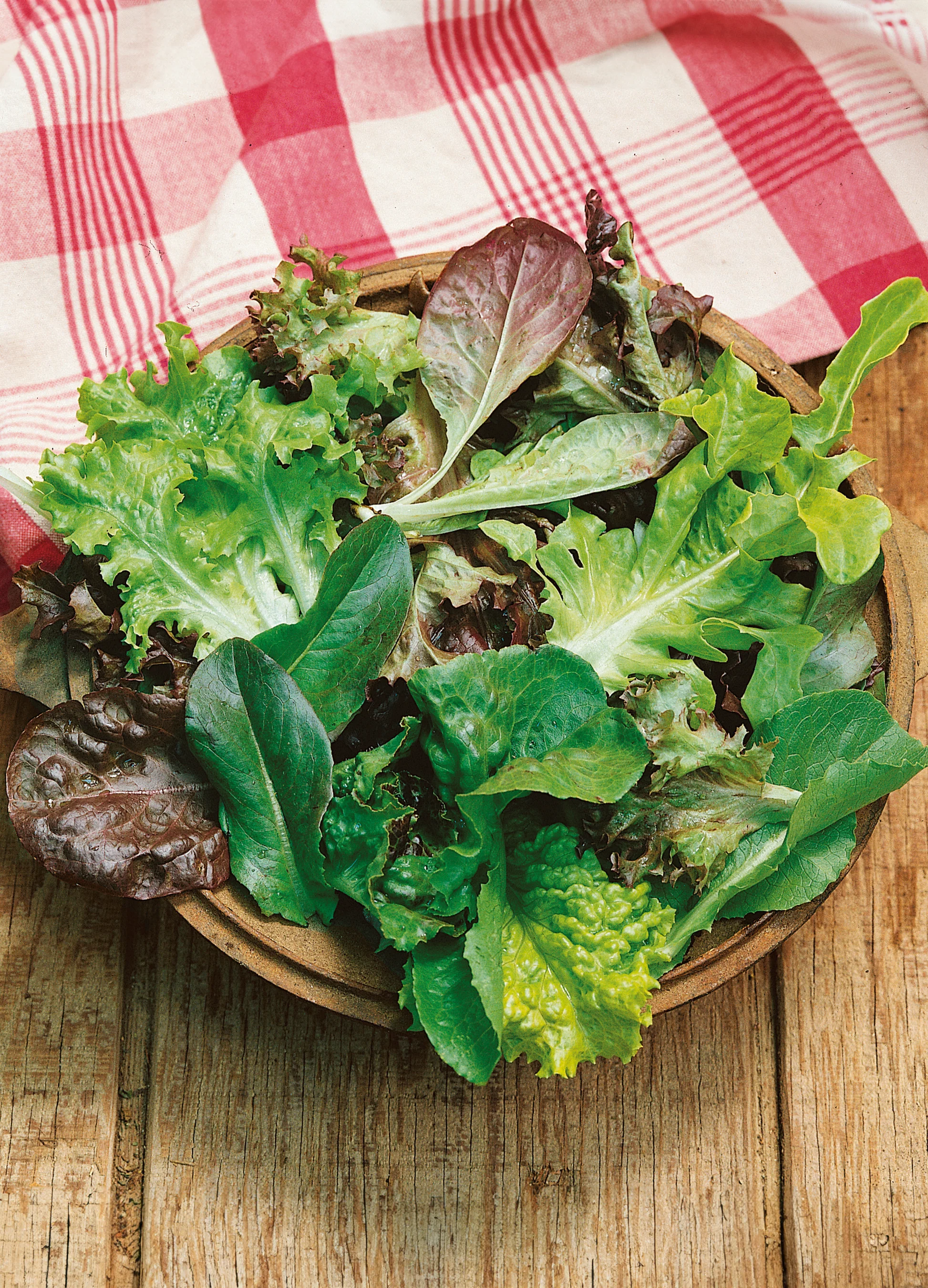 Lettuce | Mesclun Salad Mix