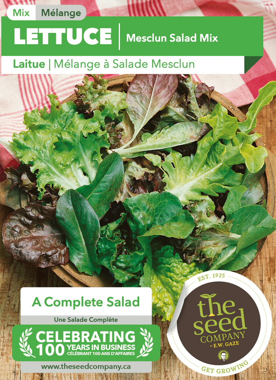 Lettuce | Mesclun Salad Mix - Image 2