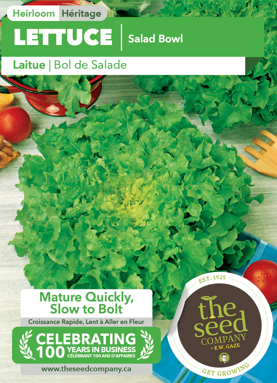 Lettuce | Salad Bowl - Image 2