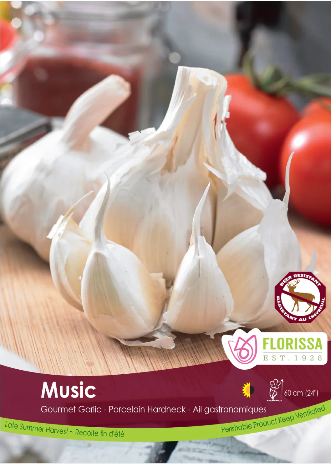 PRE-ORDER Fall Garlic “Music”