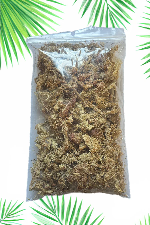 Long-Fibre Sphagnum Moss 10g