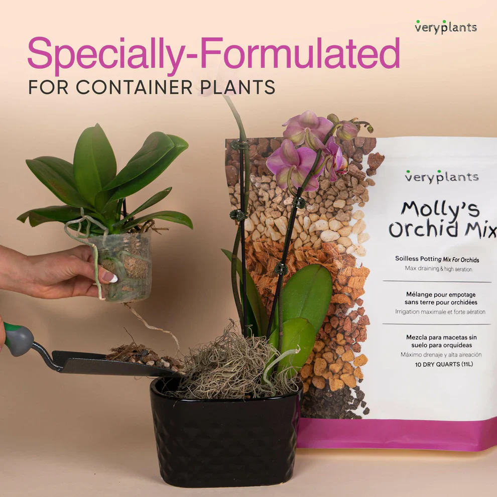 Molly's Orchid Mix - Image 2