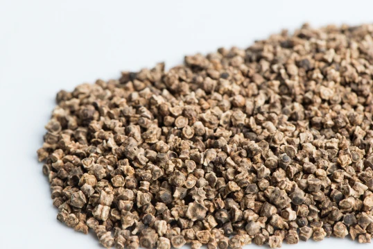 Ruby Beet Sprouting Seeds - Image 2