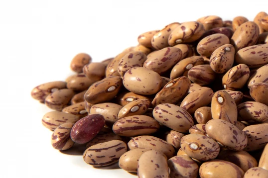 Cranberry Beans Sprouting Seeds - Image 2
