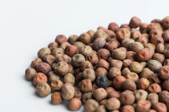 Dwarf Grey Sugar Peas Sprouting Seeds - Image 2
