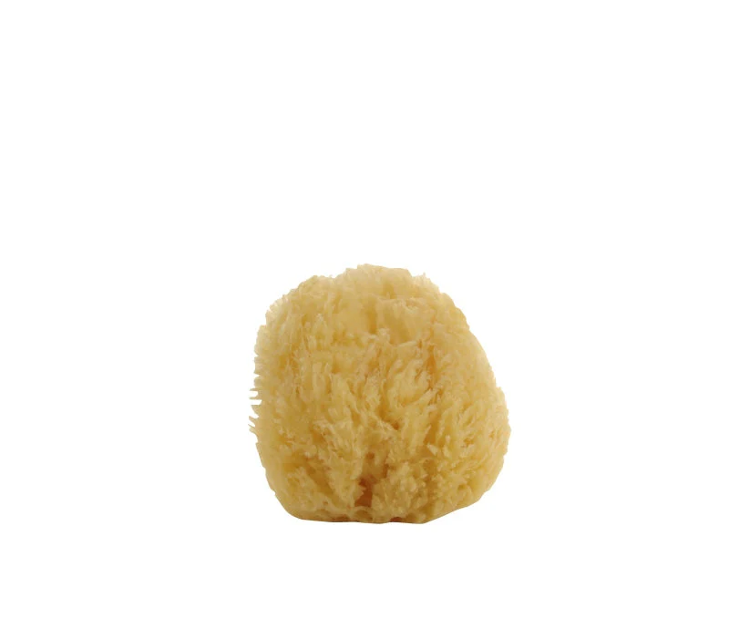 Natural Sea Sponge – Small