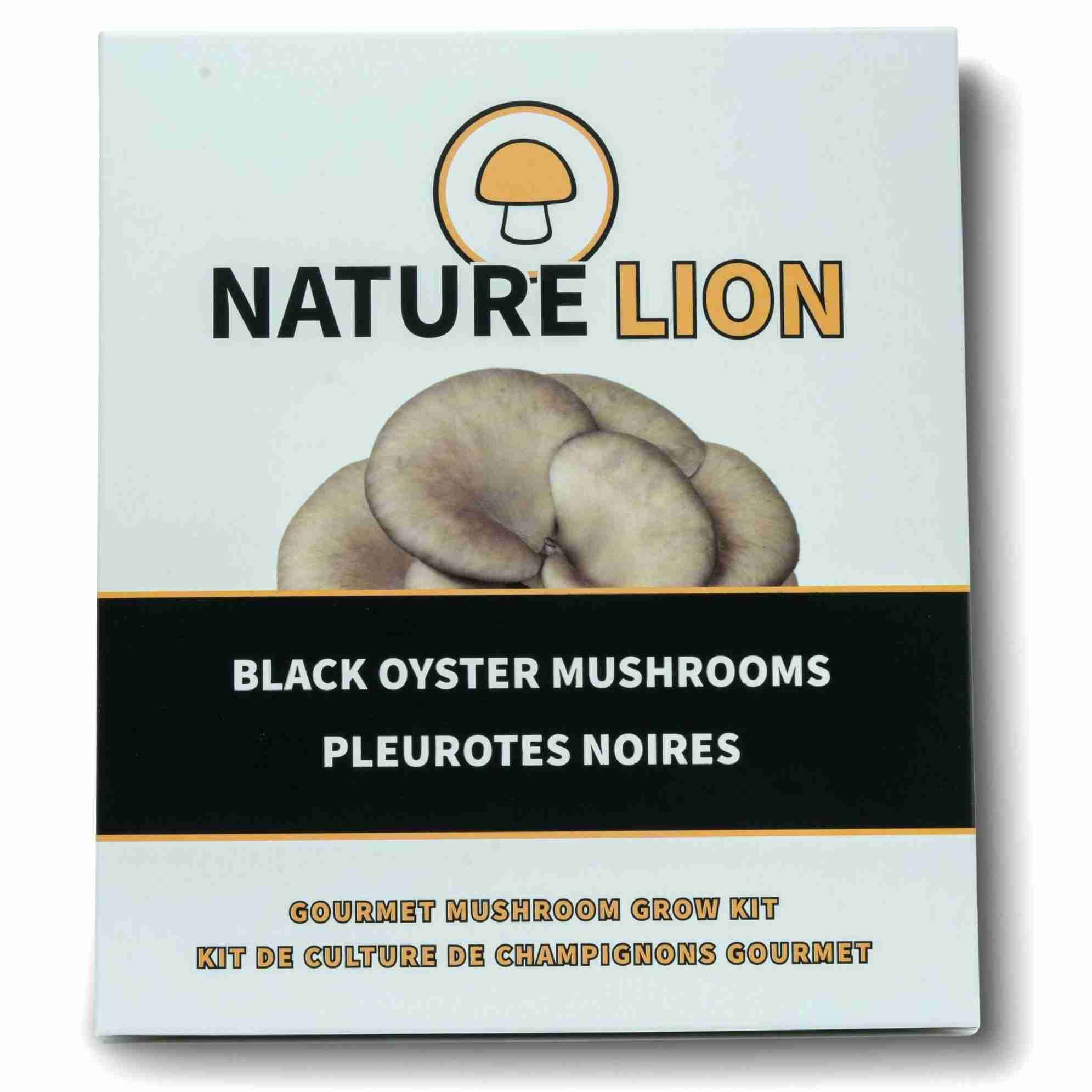Mushroom Kit | Black Oyster - Image 2