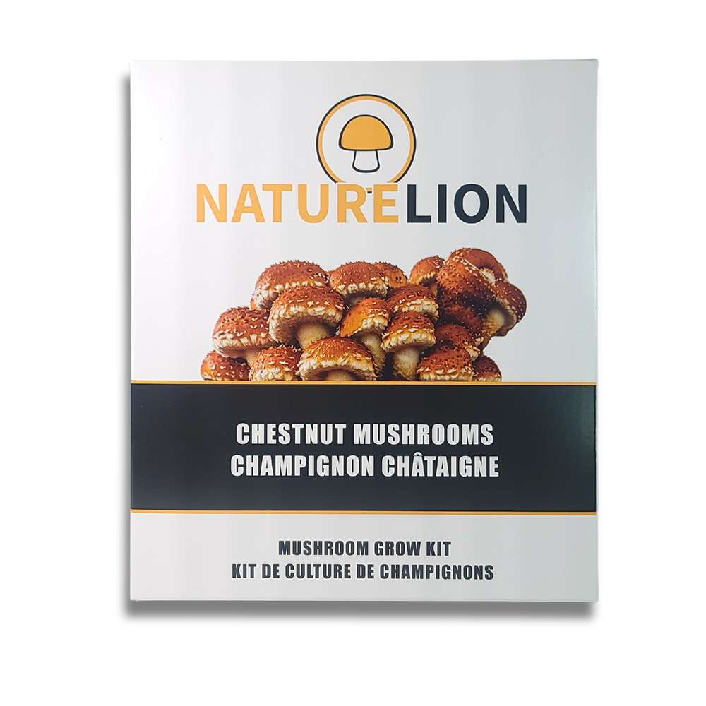 Mushroom Kit | Chestnut - Image 2