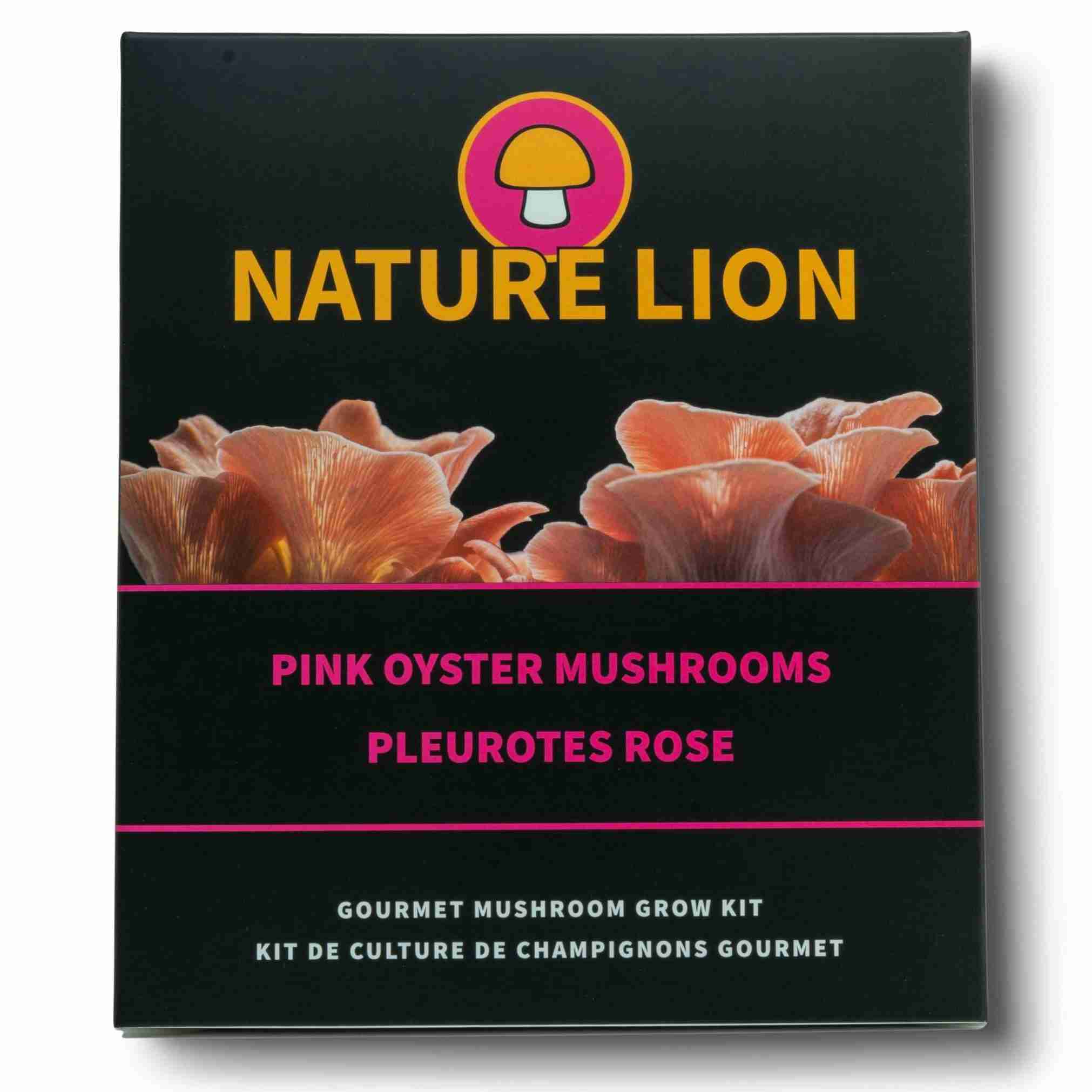 Mushroom Kit | Pink Oyster - Image 2
