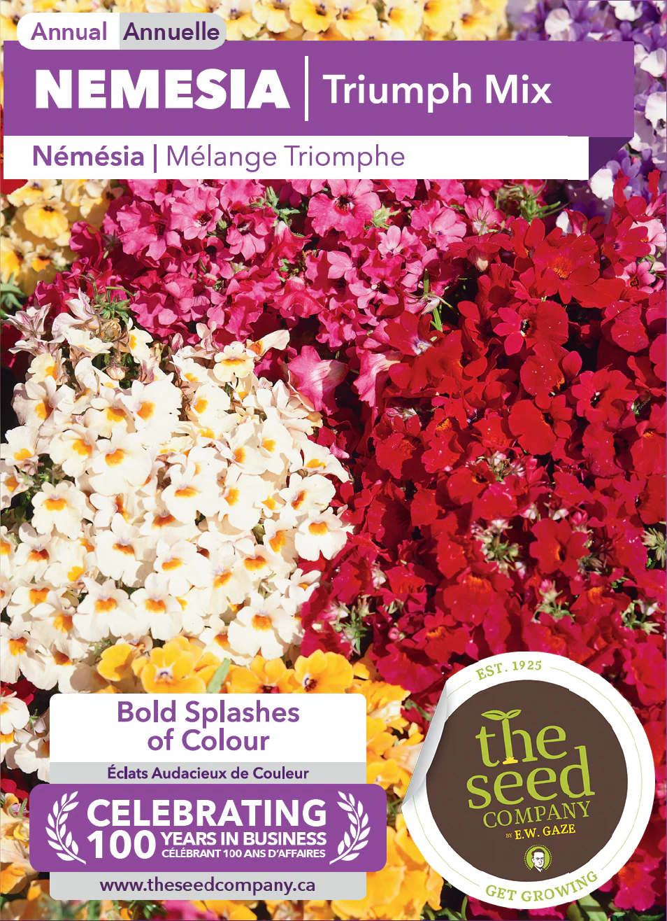 Nemesia | Triumph Mix - Image 2
