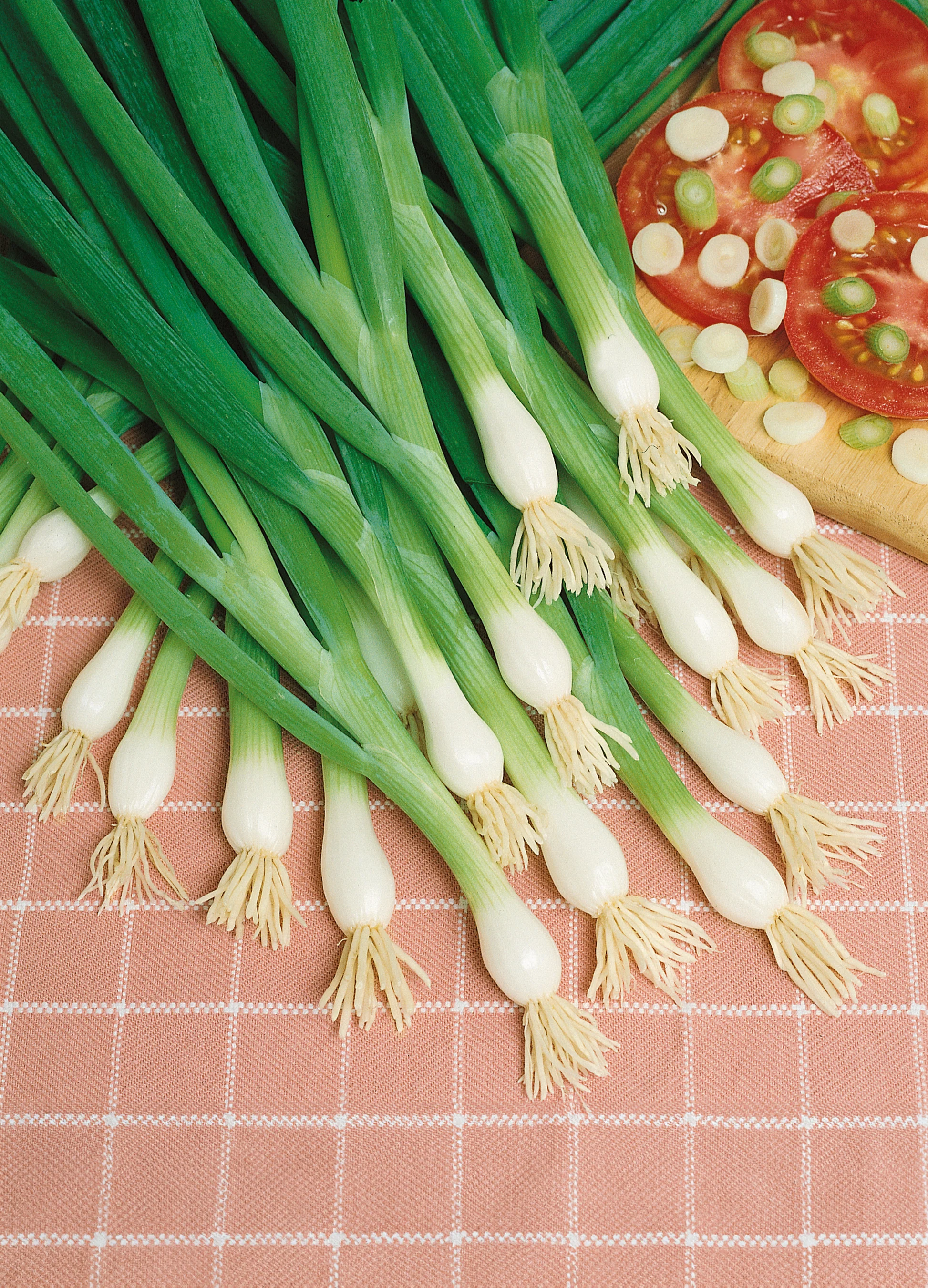 Green Onion | Bunching