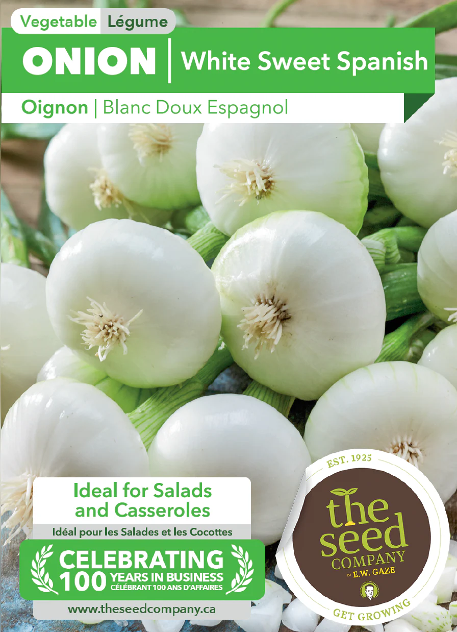 Onion | White Sweet Spanish - Image 2