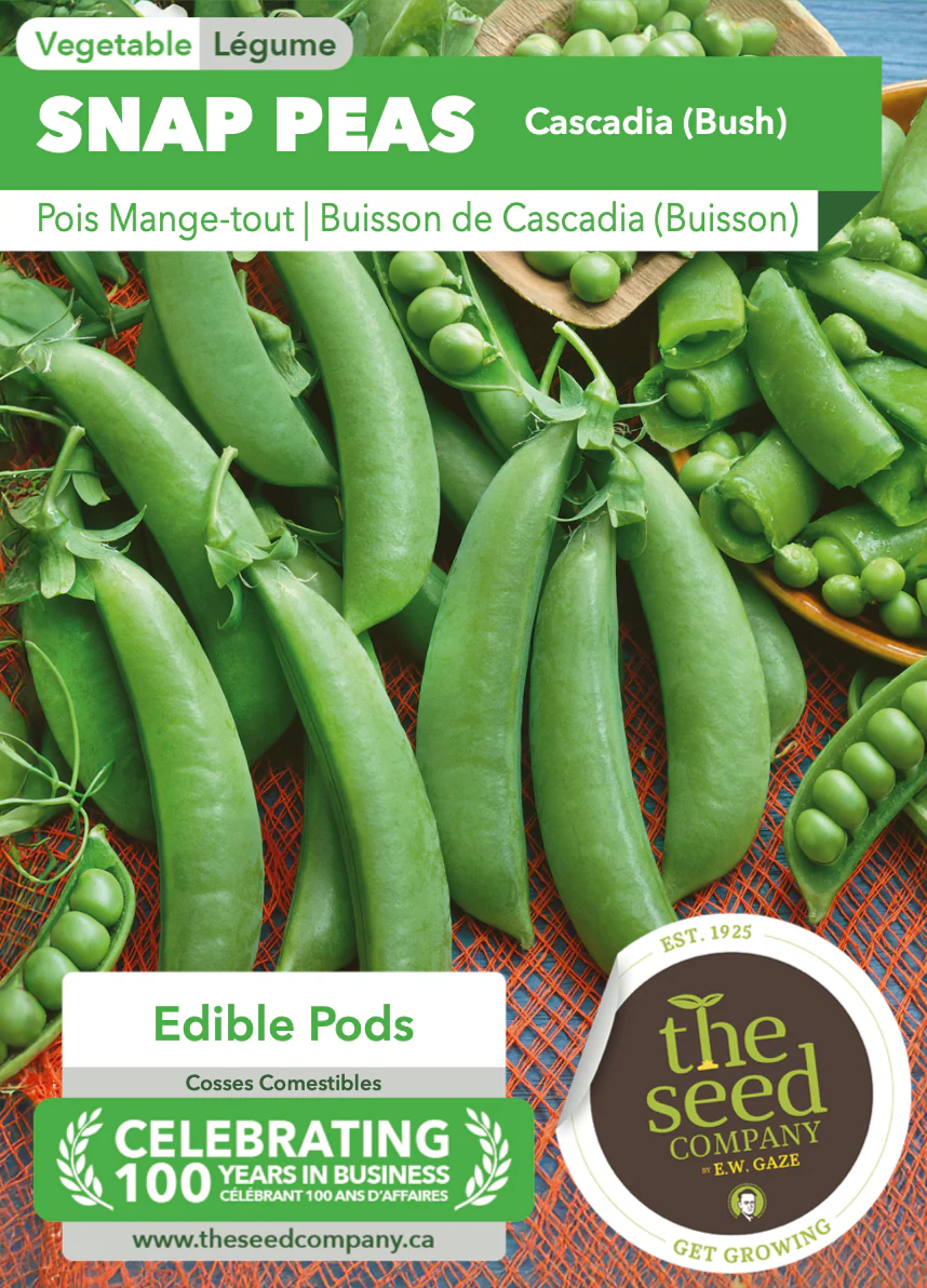 Snap Peas | Cascadia (Bush) - Image 2
