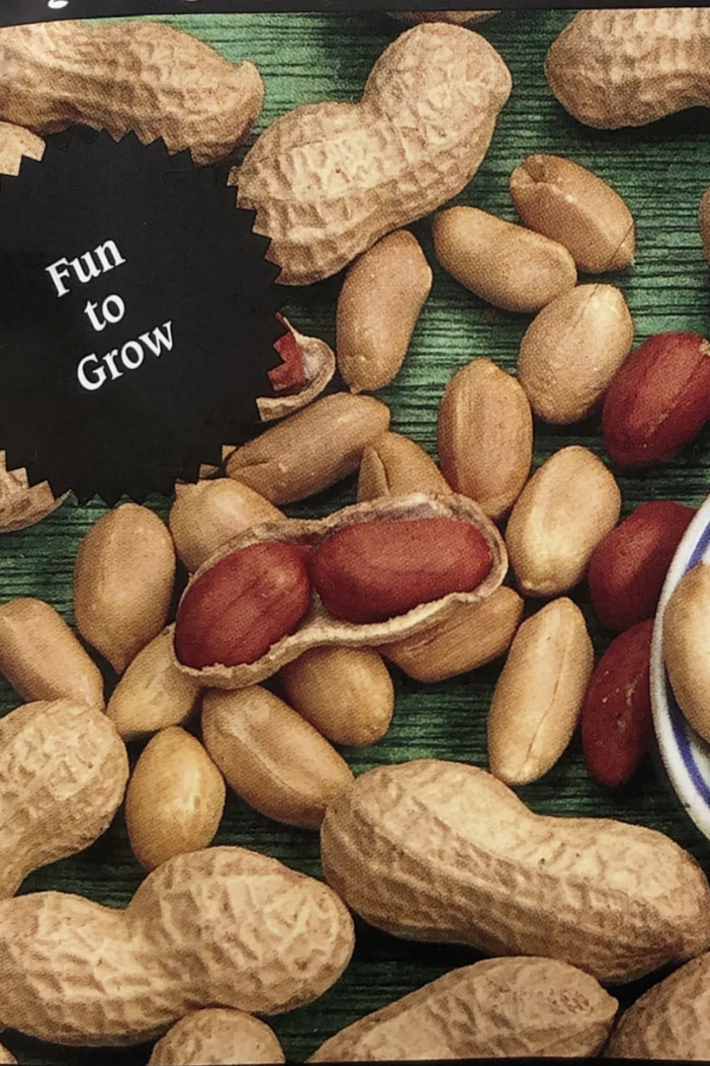 Peanuts | Valencia - Image 3