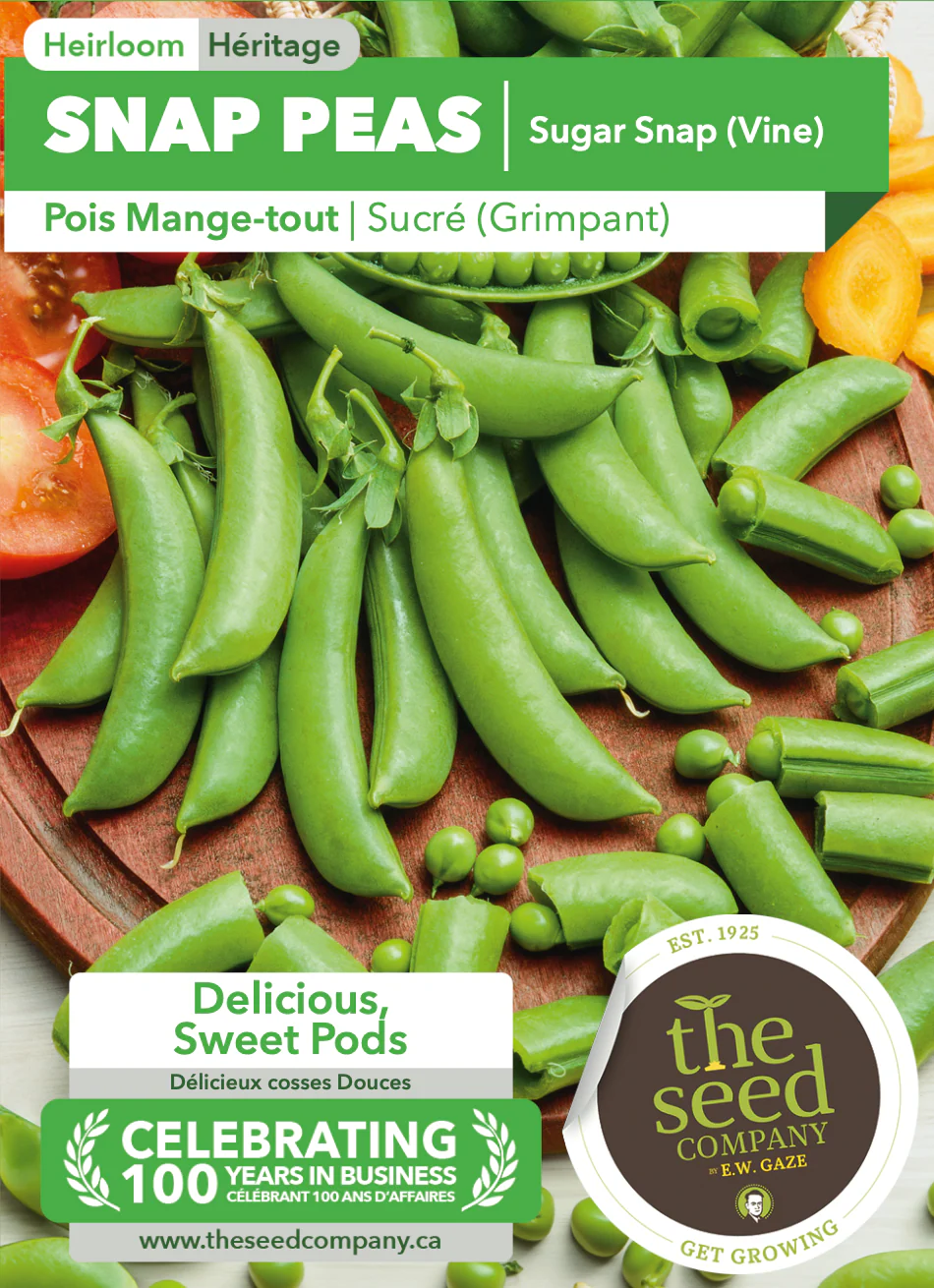 Snap Peas | Sugar Snap (Vine) - Image 2
