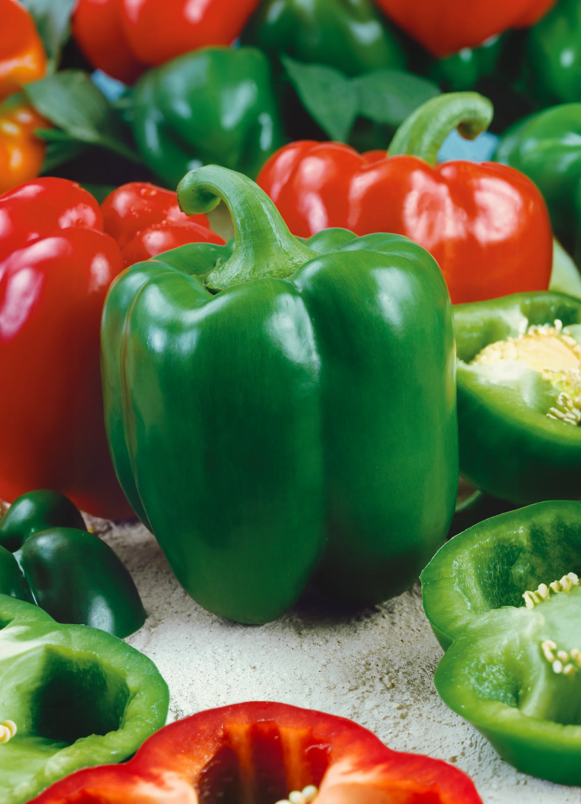 Sweet Pepper | California Wonder