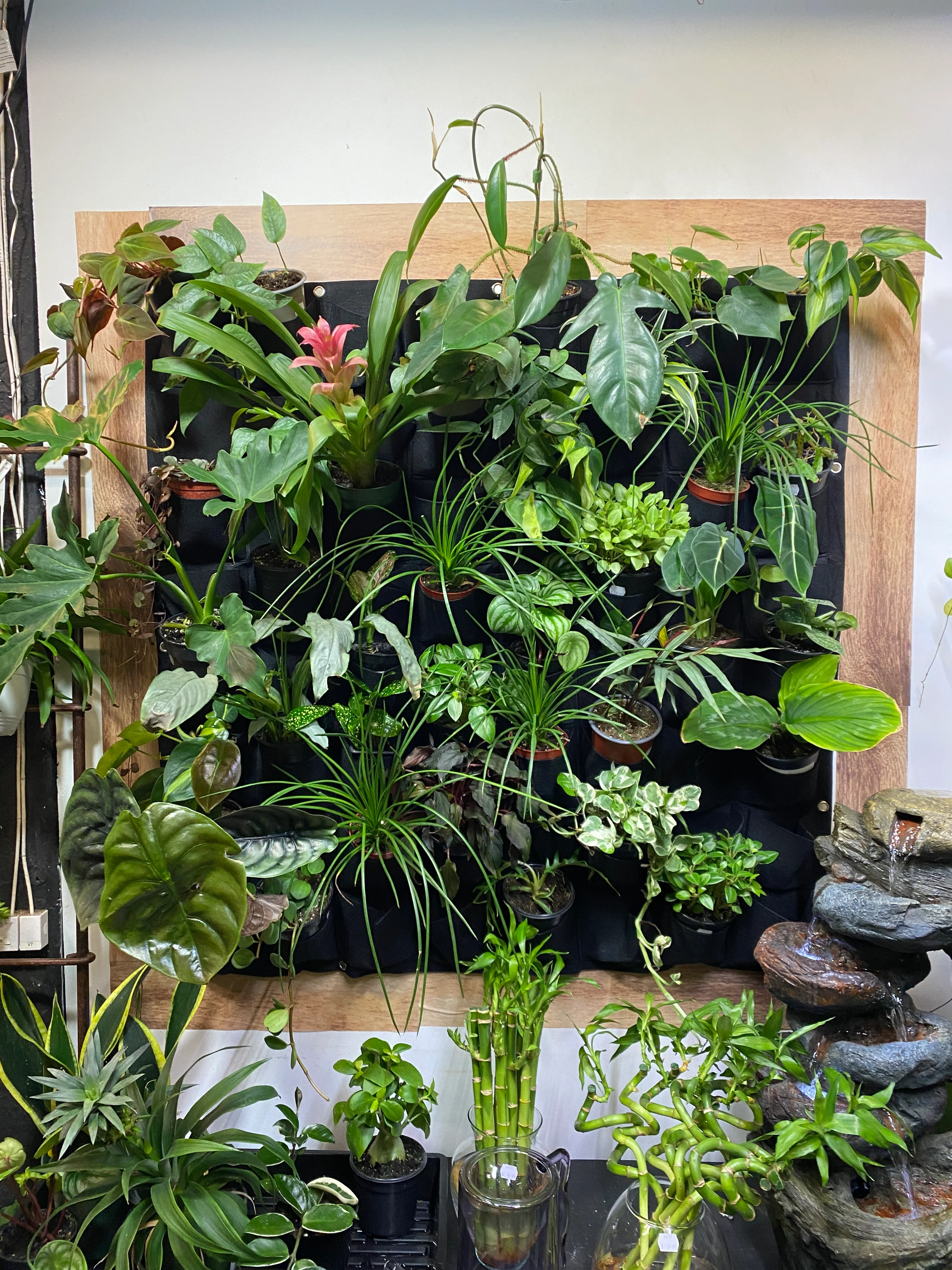 Plant Wall (Felt Pockets)