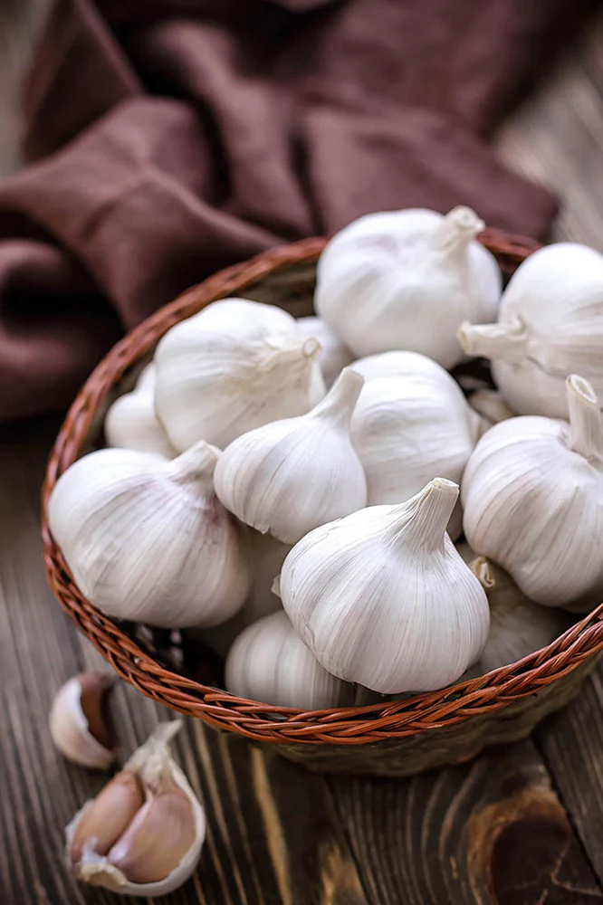 Spring Planting Garlic | White (3 Bulbs)