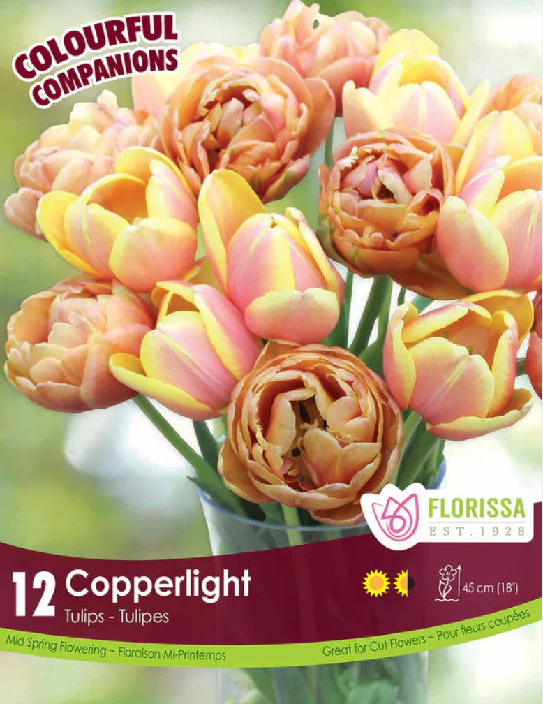 New 2026 Flower Bulbs