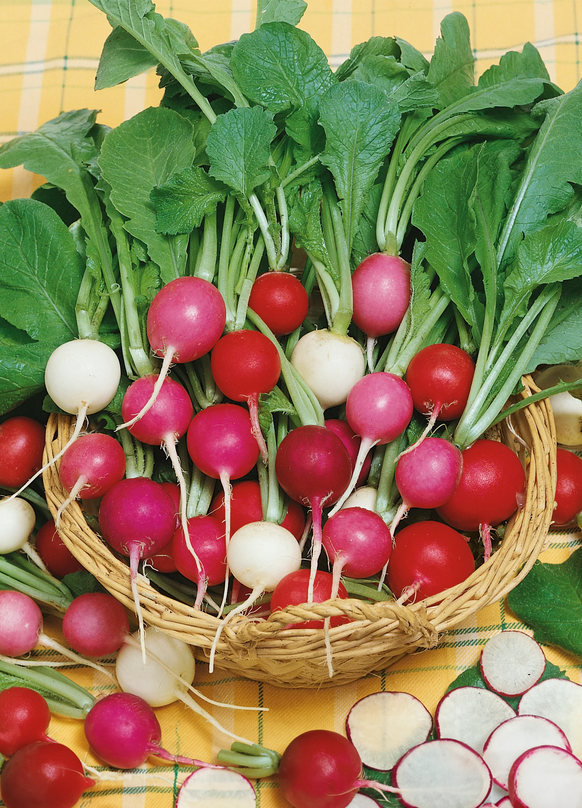 Radish | Easter Egg Blend