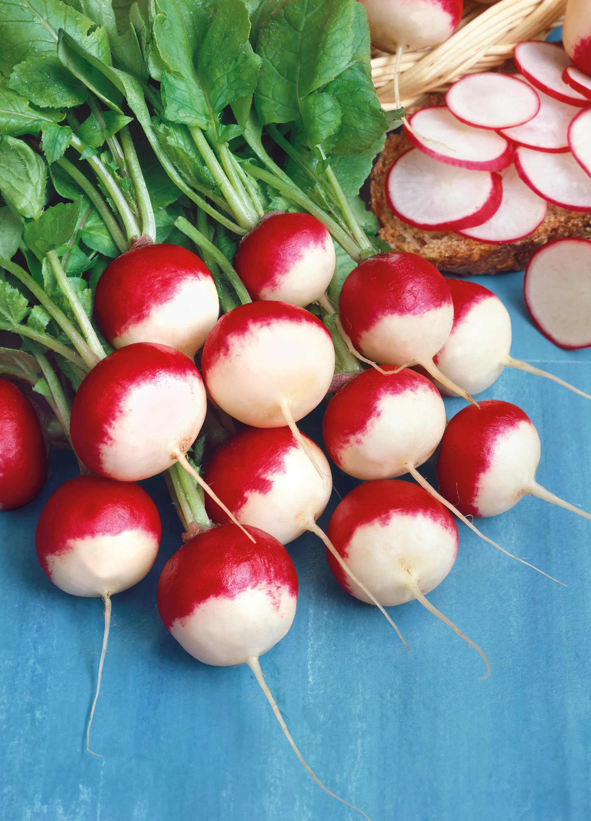 Radish | Sparkler